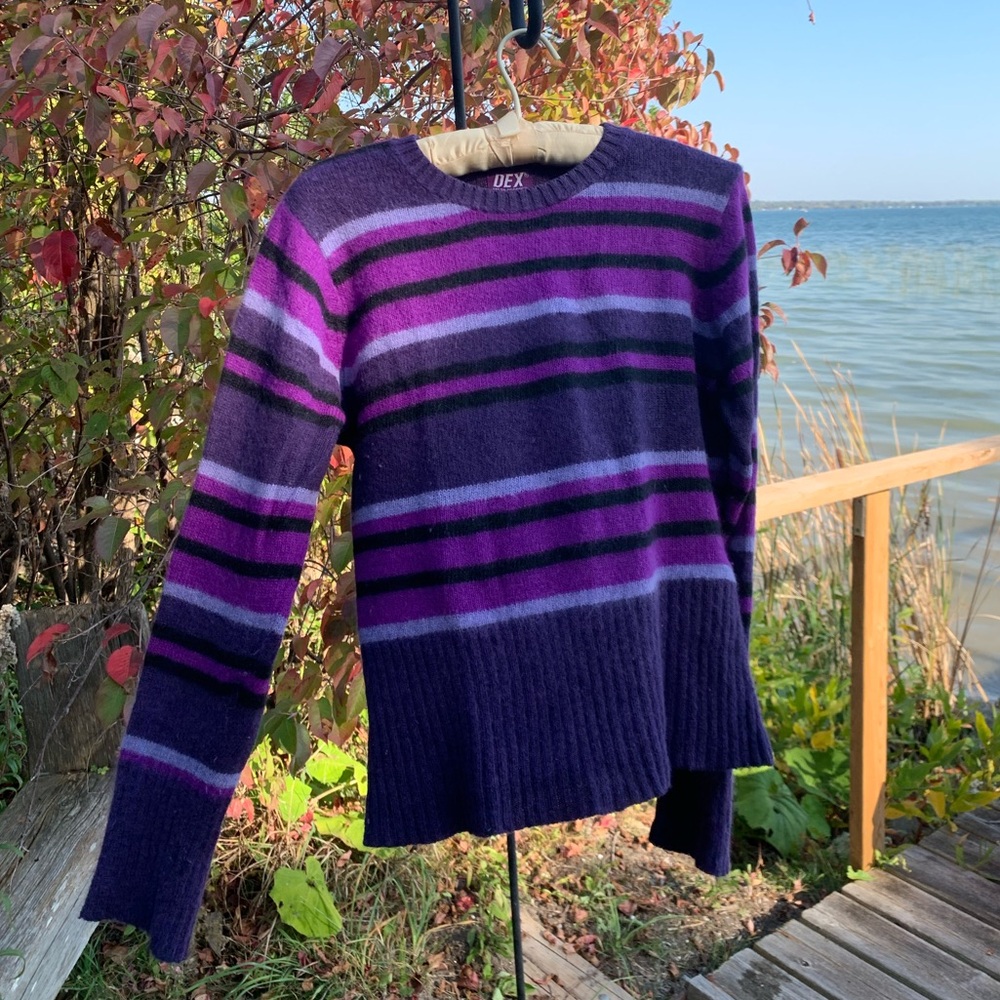Dex Vibrant Purple and Black Sweater